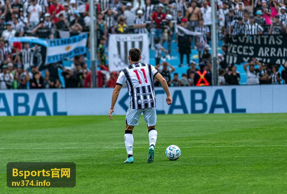 Bsports官网玩法指南功能截图